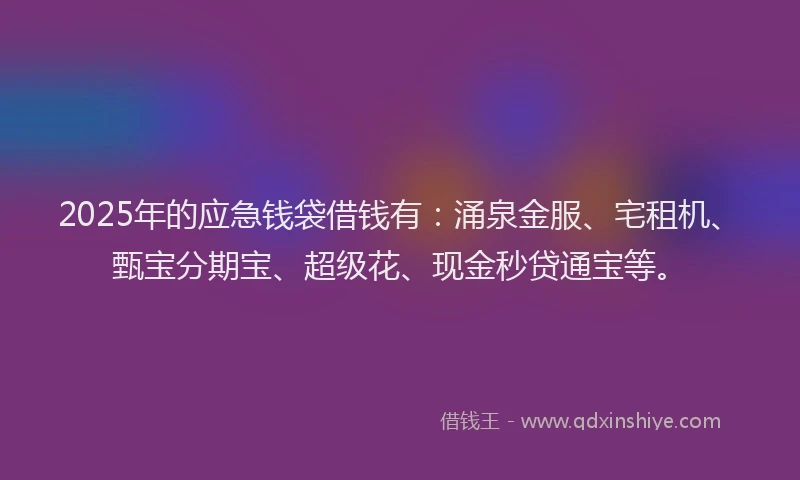 2025年的应急钱袋借钱有：涌泉金服、宅租机、甄宝分期宝、超级花、现金秒贷通宝等。