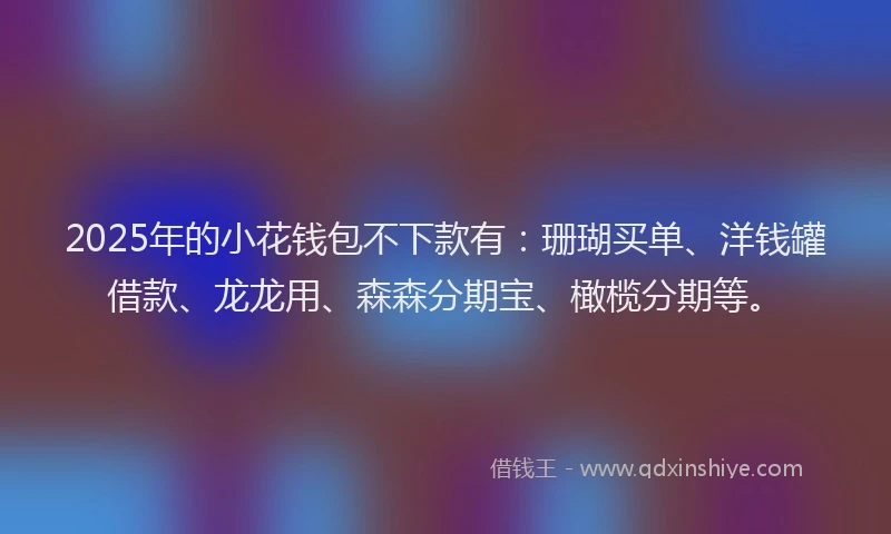 2025年的小花钱包不下款有：珊瑚买单、洋钱罐借款、龙龙用、森森分期宝、橄榄分期等。