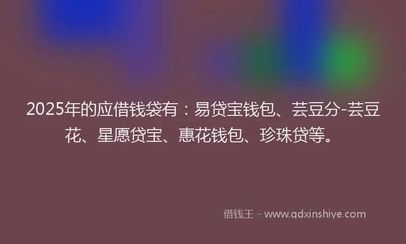 2025年的应借钱袋有：易贷宝钱包、芸豆分-芸豆花、星愿贷宝、惠花钱包、珍珠贷等。