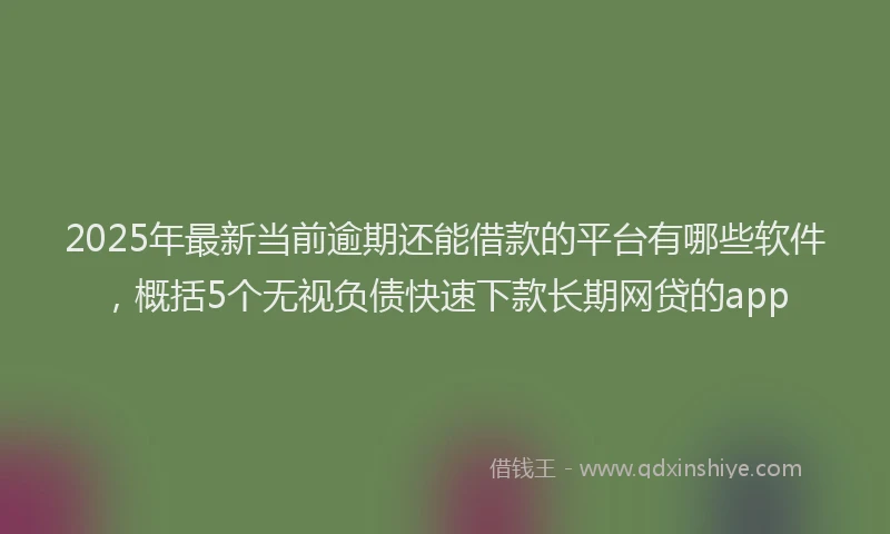 2025年最新当前逾期还能借款的平台有哪些软件，概括5个无视负债快速下款长期网贷的app