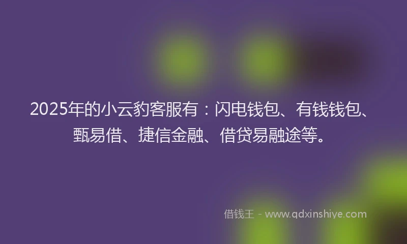 2025年的小云豹客服有：闪电钱包、有钱钱包、甄易借、捷信金融、借贷易融途等。