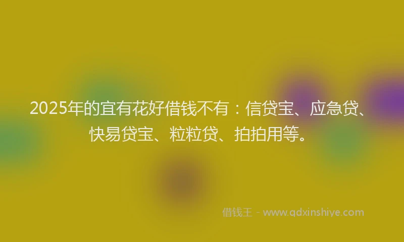 2025年的宜有花好借钱不有：信贷宝、应急贷、快易贷宝、粒粒贷、拍拍用等。