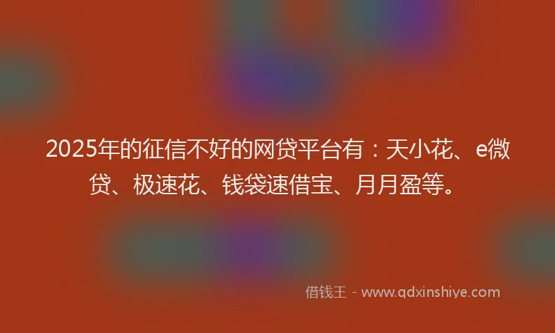 2025年的征信不好的网贷平台有：天小花、e微贷、极速花、钱袋速借宝、月月盈等。