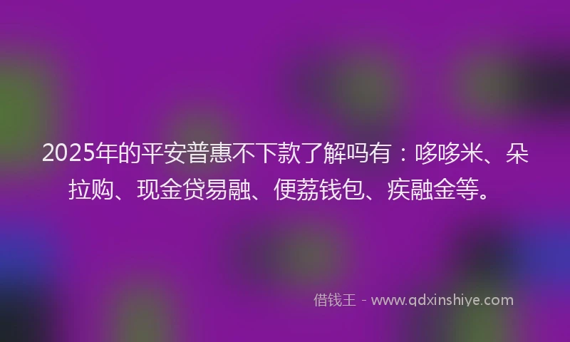 2025年的平安普惠不下款了解吗有：哆哆米、朵拉购、现金贷易融、便荔钱包、疾融金等。