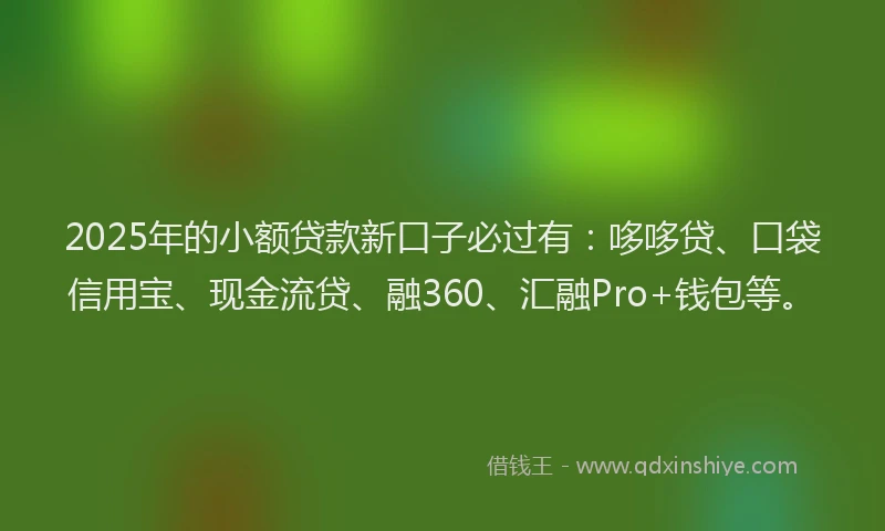 2025年的小额贷款新口子必过有：哆哆贷、口袋信用宝、现金流贷、融360、汇融Pro+钱包等。