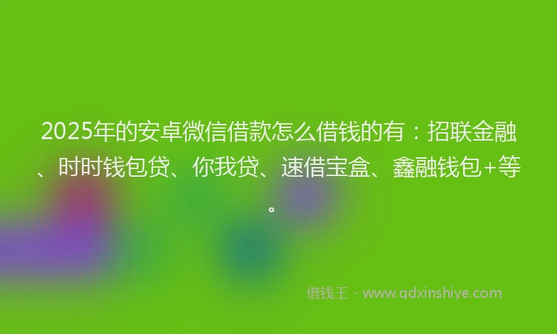 2025年的安卓微信借款怎么借钱的有：招联金融、时时钱包贷、你我贷、速借宝盒、鑫融钱包+等。
