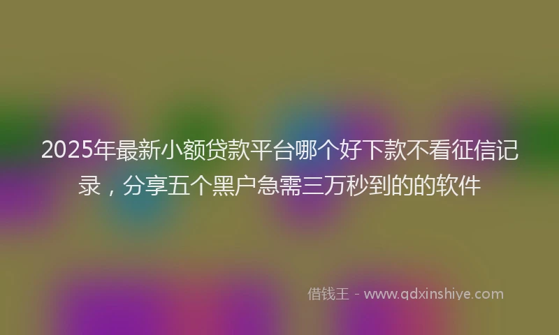 2025年最新小额贷款平台哪个好下款不看征信记录，分享五个黑户急需三万秒到的的软件
