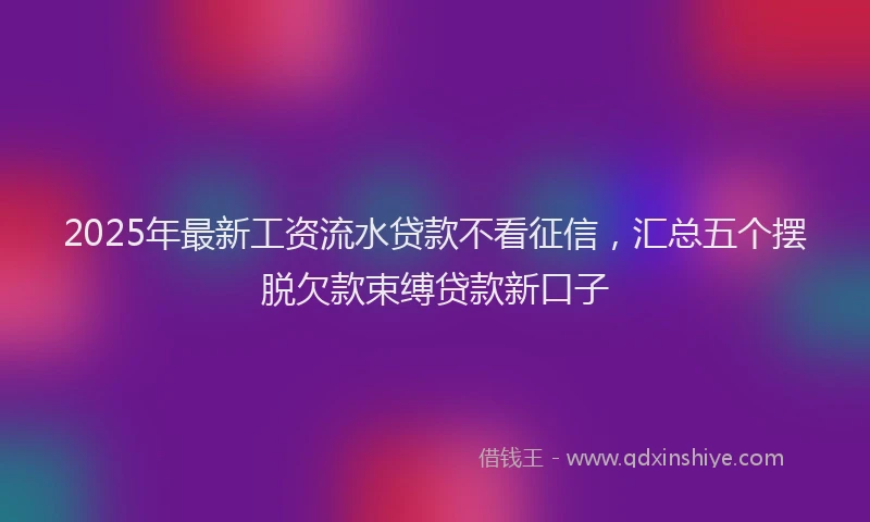 2025年最新工资流水贷款不看征信，汇总五个摆脱欠款束缚贷款新口子