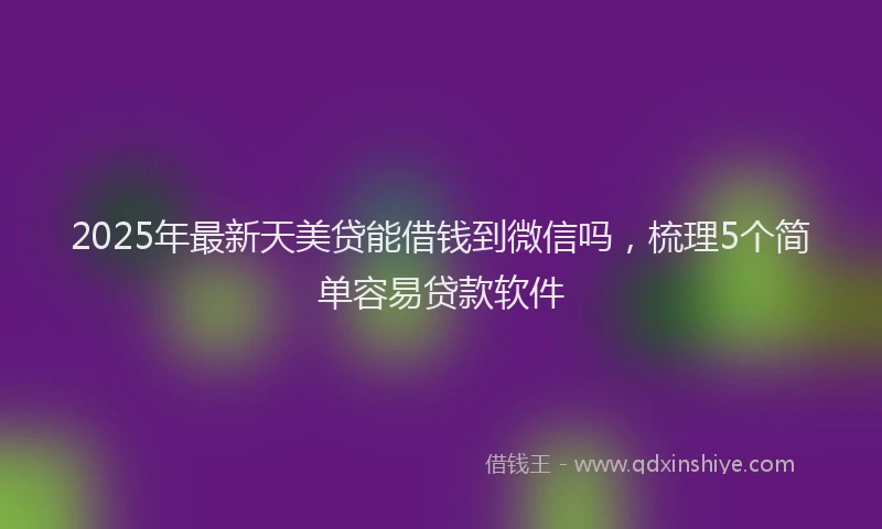 2025年最新天美贷能借钱到微信吗，梳理5个简单容易贷款软件