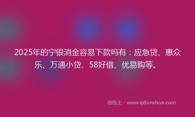 2025年的宁银消金容易下款吗有：应急贷、惠众乐、万通小贷、58好借、优易购等。