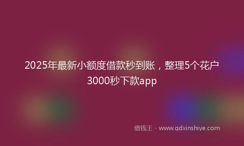 2025年最新小额度借款秒到账，整理5个花户3000秒下款app