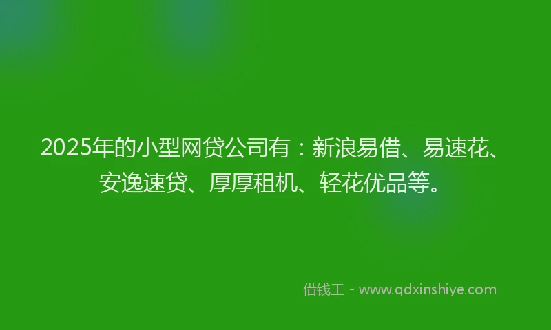 2025年的小型网贷公司有：新浪易借、易速花、安逸速贷、厚厚租机、轻花优品等。