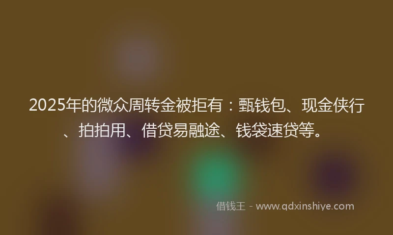 2025年的微众周转金被拒有：甄钱包、现金侠行、拍拍用、借贷易融途、钱袋速贷等。