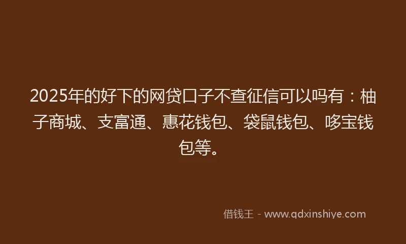 2025年的好下的网贷口子不查征信可以吗有：柚子商城、支富通、惠花钱包、袋鼠钱包、哆宝钱包等。