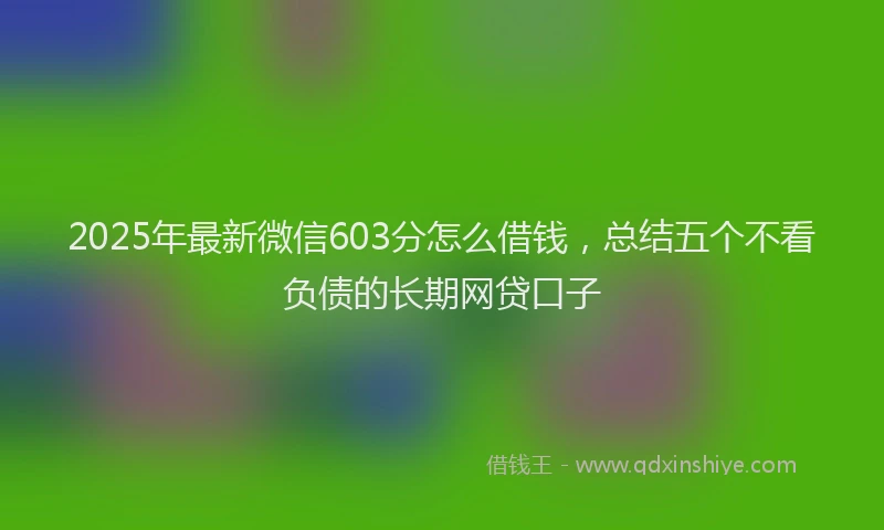 2025年最新微信603分怎么借钱，总结五个不看负债的长期网贷口子