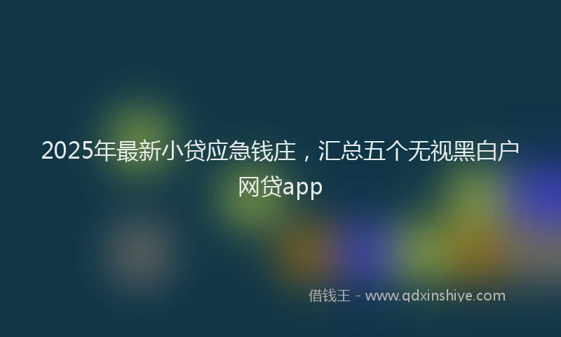 2025年最新小贷应急钱庄，汇总五个无视黑白户网贷app