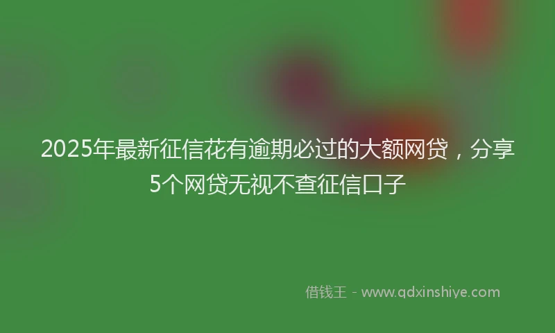 2025年最新征信花有逾期必过的大额网贷，分享5个网贷无视不查征信口子