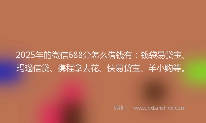 2025年的微信688分怎么借钱有：钱袋易贷宝、玛瑙信贷、携程拿去花、快易贷宝、羊小购等。