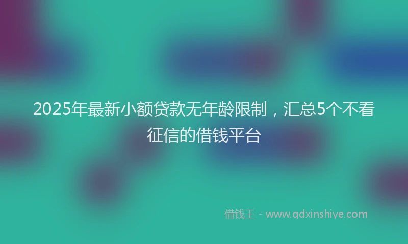 2025年最新小额贷款无年龄限制，汇总5个不看征信的借钱平台