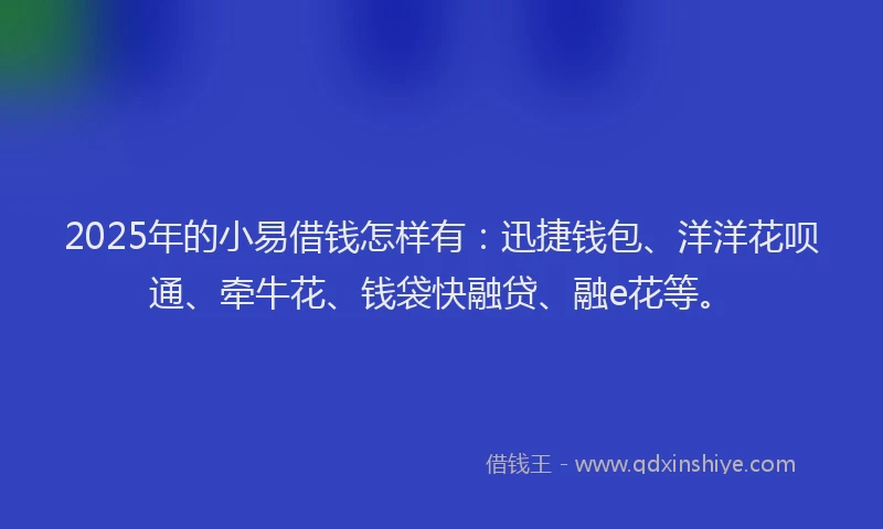 2025年的小易借钱怎样有：迅捷钱包、洋洋花呗通、牵牛花、钱袋快融贷、融e花等。