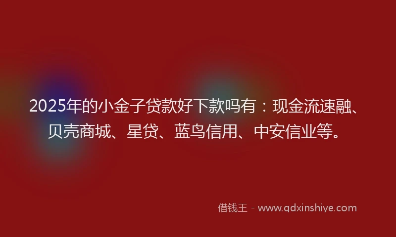 2025年的小金子贷款好下款吗有：现金流速融、贝壳商城、星贷、蓝鸟信用、中安信业等。