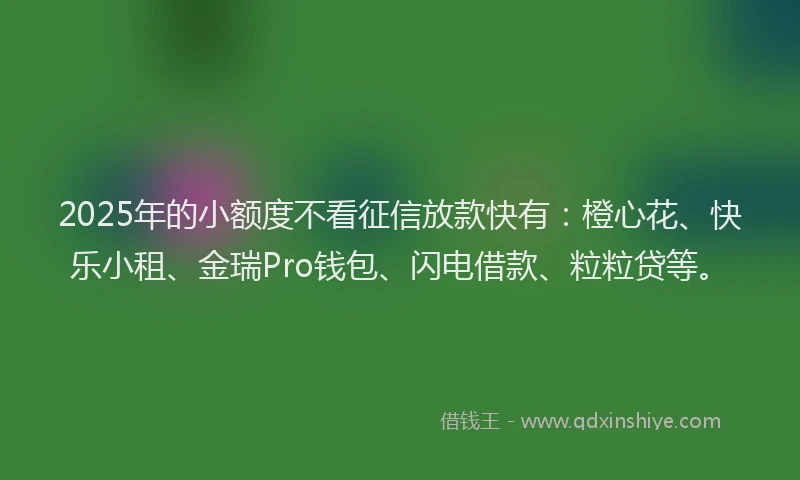 2025年的小额度不看征信放款快有：橙心花、快乐小租、金瑞Pro钱包、闪电借款、粒粒贷等。