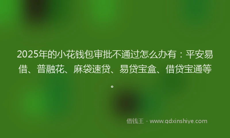 2025年的小花钱包审批不通过怎么办有：平安易借、普融花、麻袋速贷、易贷宝盒、借贷宝通等。