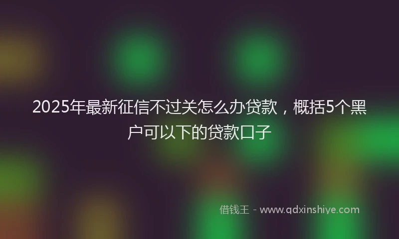 2025年最新征信不过关怎么办贷款，概括5个黑户可以下的贷款口子
