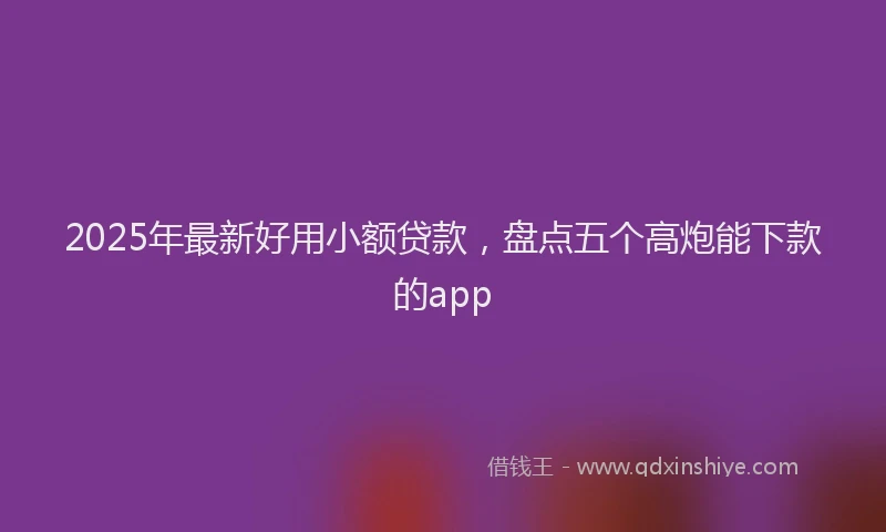 2025年最新好用小额贷款，盘点五个高炮能下款的app
