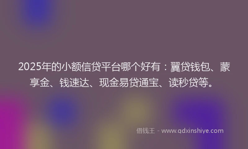 2025年的小额信贷平台哪个好有：翼贷钱包、蒙享金、钱速达、现金易贷通宝、读秒贷等。