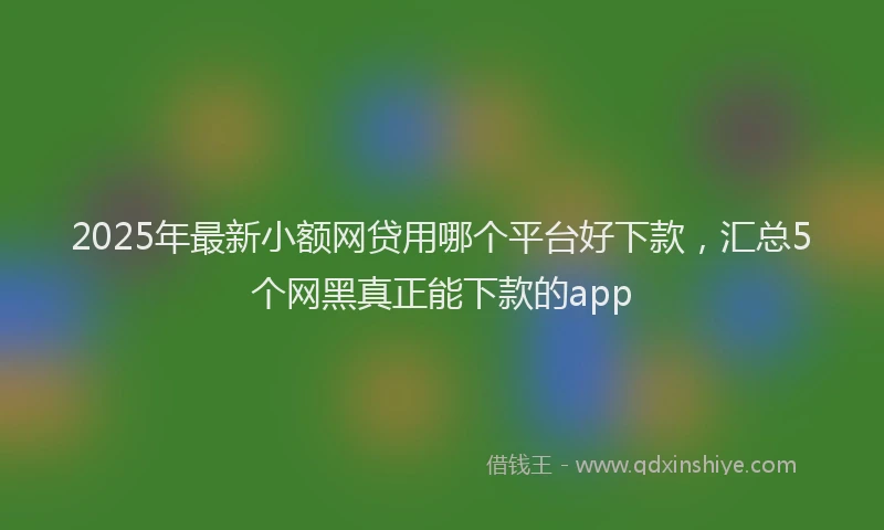 2025年最新小额网贷用哪个平台好下款，汇总5个网黑真正能下款的app