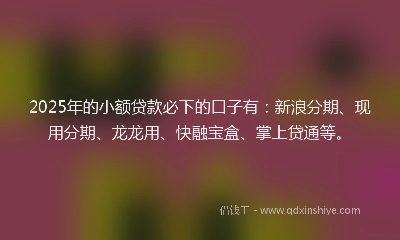2025年的小额贷款必下的口子有：新浪分期、现用分期、龙龙用、快融宝盒、掌上贷通等。
