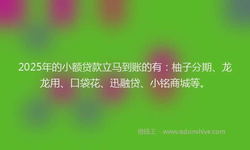 2025年的小额贷款立马到账的有：柚子分期、龙龙用、口袋花、迅融贷、小铭商城等。