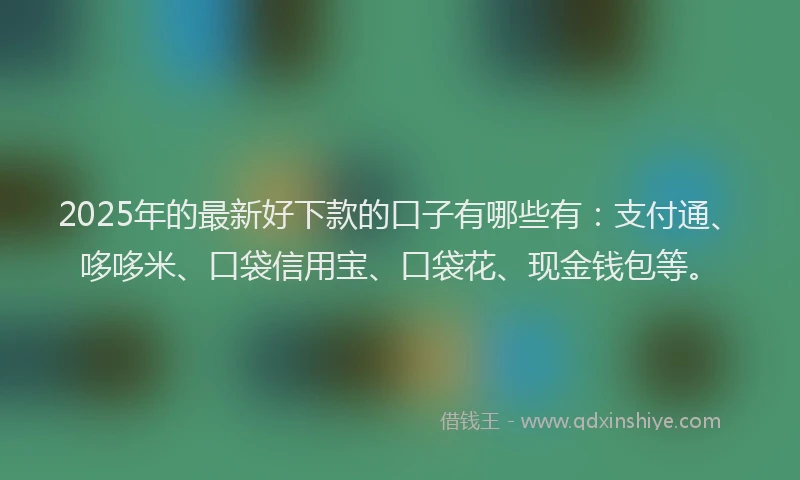2025年的最新好下款的口子有哪些有：支付通、哆哆米、口袋信用宝、口袋花、现金钱包等。