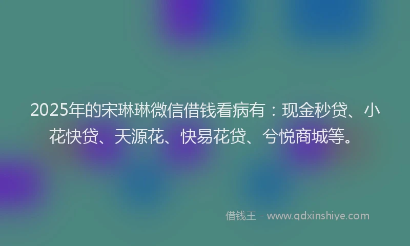 2025年的宋琳琳微信借钱看病有：现金秒贷、小花快贷、天源花、快易花贷、兮悦商城等。