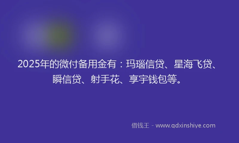2025年的微付备用金有：玛瑙信贷、星海飞贷、瞬信贷、射手花、享宇钱包等。