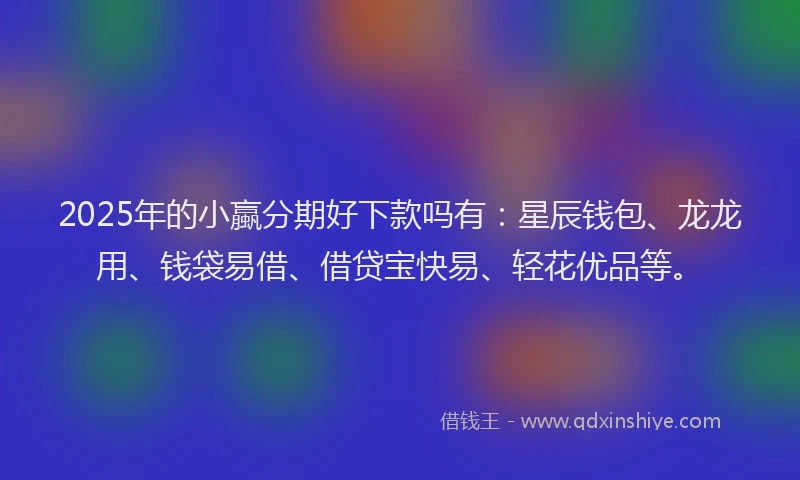 2025年的小蠃分期好下款吗有：星辰钱包、龙龙用、钱袋易借、借贷宝快易、轻花优品等。