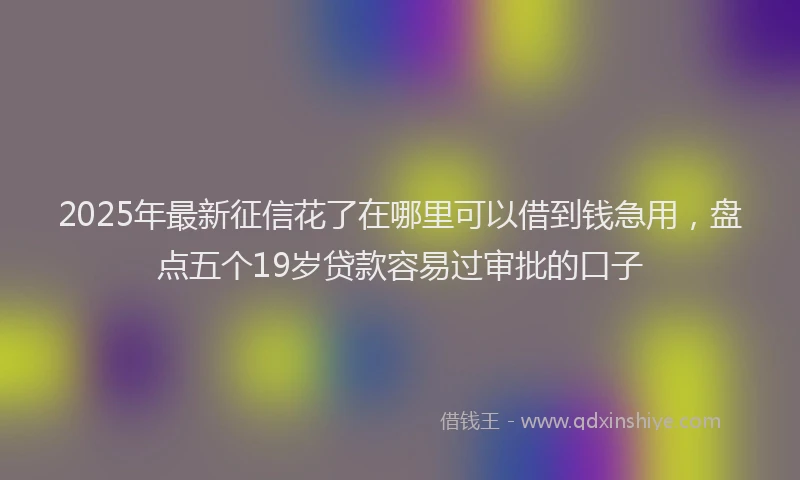 2025年最新征信花了在哪里可以借到钱急用，盘点五个19岁贷款容易过审批的口子