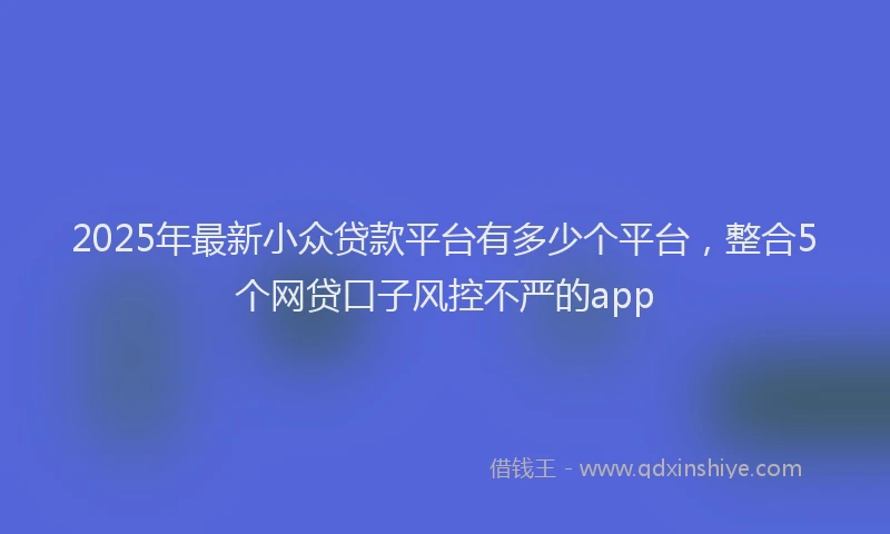 2025年最新小众贷款平台有多少个平台，整合5个网贷口子风控不严的app