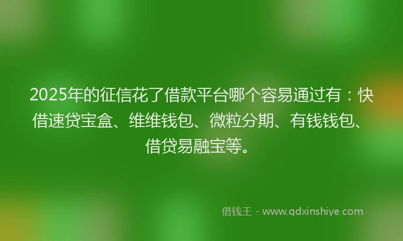 2025年的征信花了借款平台哪个容易通过有：快借速贷宝盒、维维钱包、微粒分期、有钱钱包、借贷易融宝等。