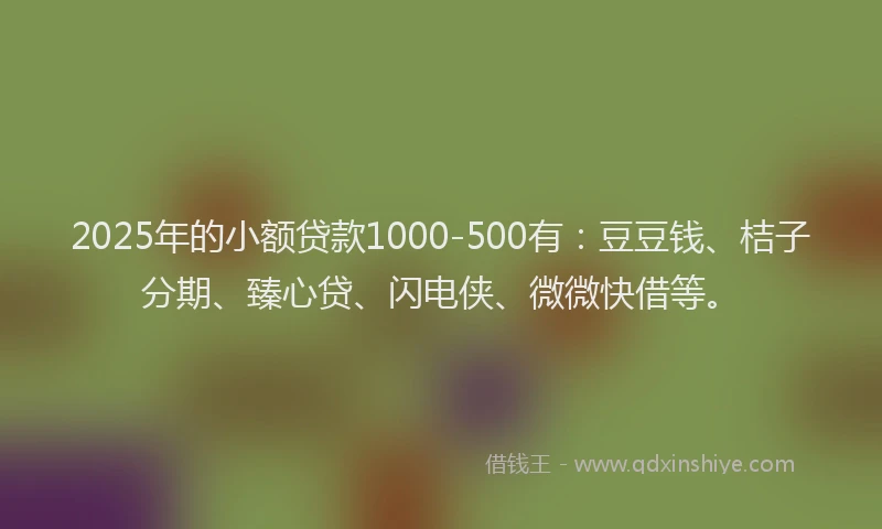 2025年的小额贷款1000-500有：豆豆钱、桔子分期、臻心贷、闪电侠、微微快借等。