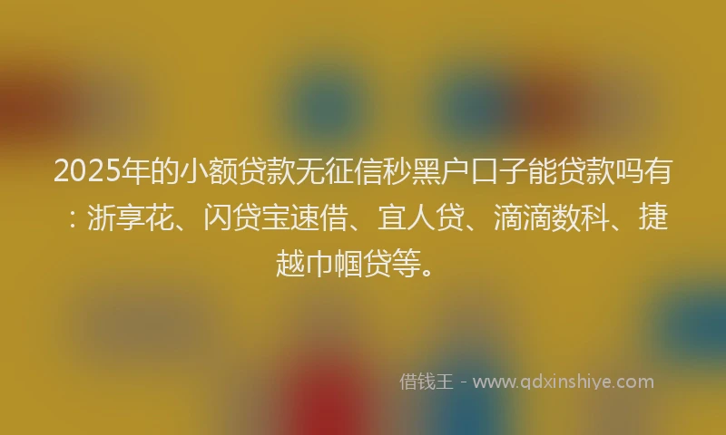 2025年的小额贷款无征信秒黑户口子能贷款吗有：浙享花、闪贷宝速借、宜人贷、滴滴数科、捷越巾帼贷等。