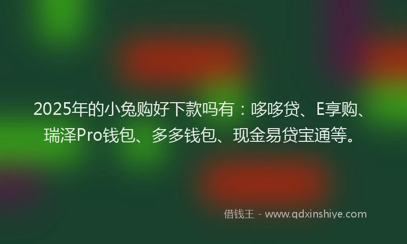 2025年的小兔购好下款吗有：哆哆贷、E享购、瑞泽Pro钱包、多多钱包、现金易贷宝通等。