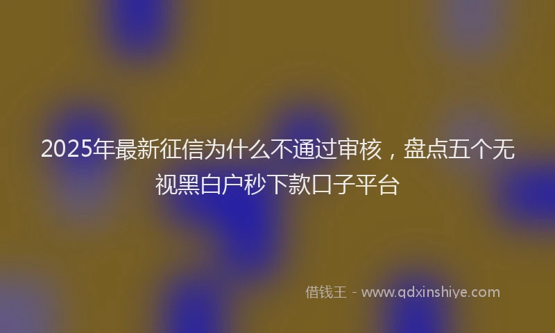 2025年最新征信为什么不通过审核，盘点五个无视黑白户秒下款口子平台