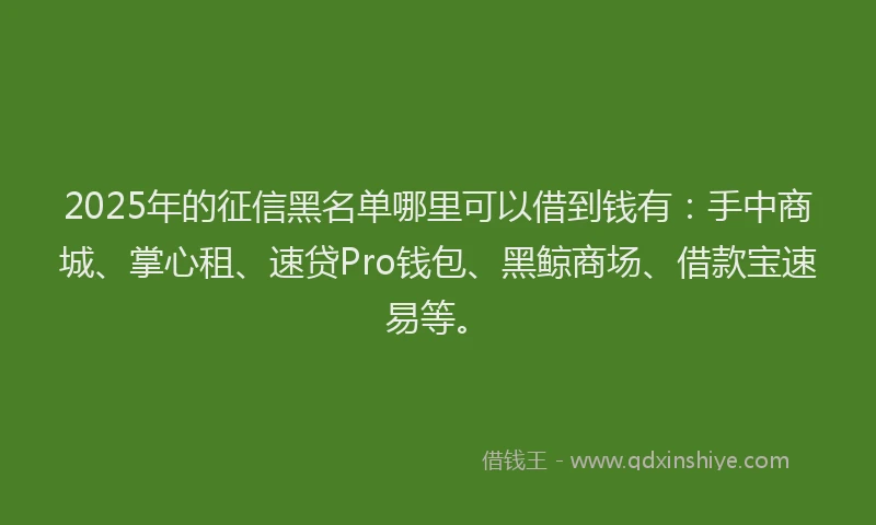2025年的征信黑名单哪里可以借到钱有：手中商城、掌心租、速贷Pro钱包、黑鲸商场、借款宝速易等。