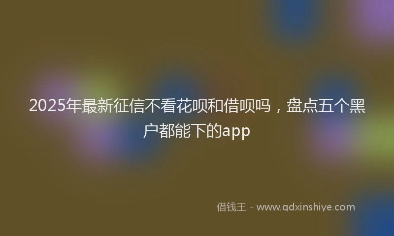 2025年最新征信不看花呗和借呗吗，盘点五个黑户都能下的app