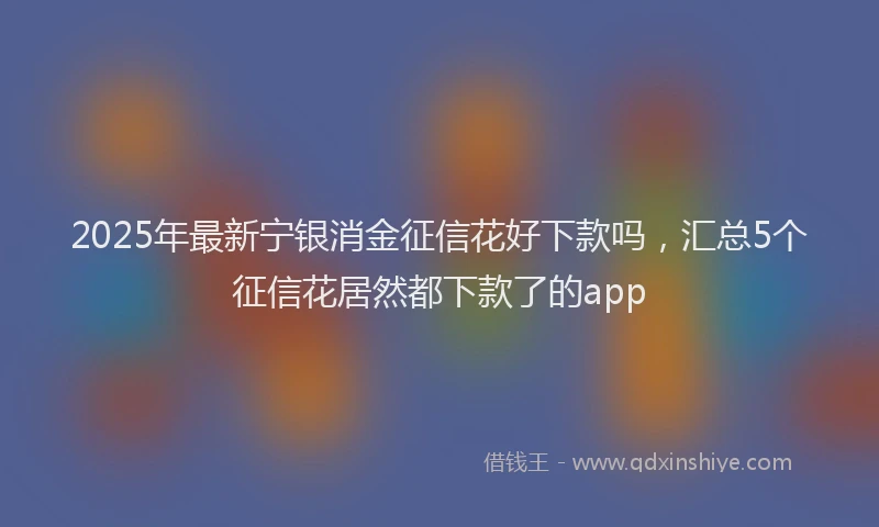 2025年最新宁银消金征信花好下款吗，汇总5个征信花居然都下款了的app