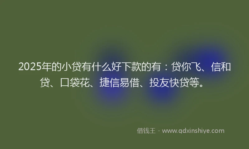 2025年的小贷有什么好下款的有：贷你飞、信和贷、口袋花、捷信易借、投友快贷等。