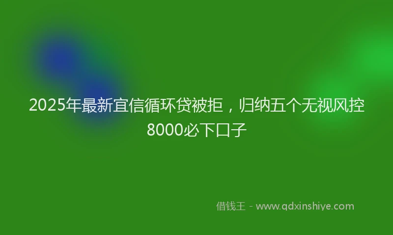 2025年最新宜信循环贷被拒，归纳五个无视风控8000必下口子