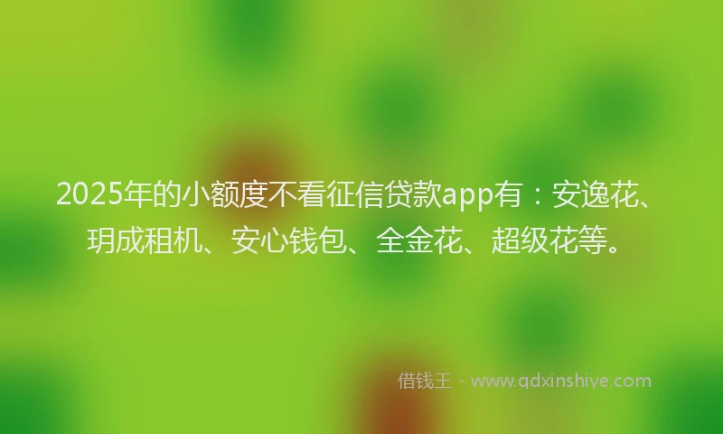 2025年的小额度不看征信贷款app有：安逸花、玥成租机、安心钱包、全金花、超级花等。